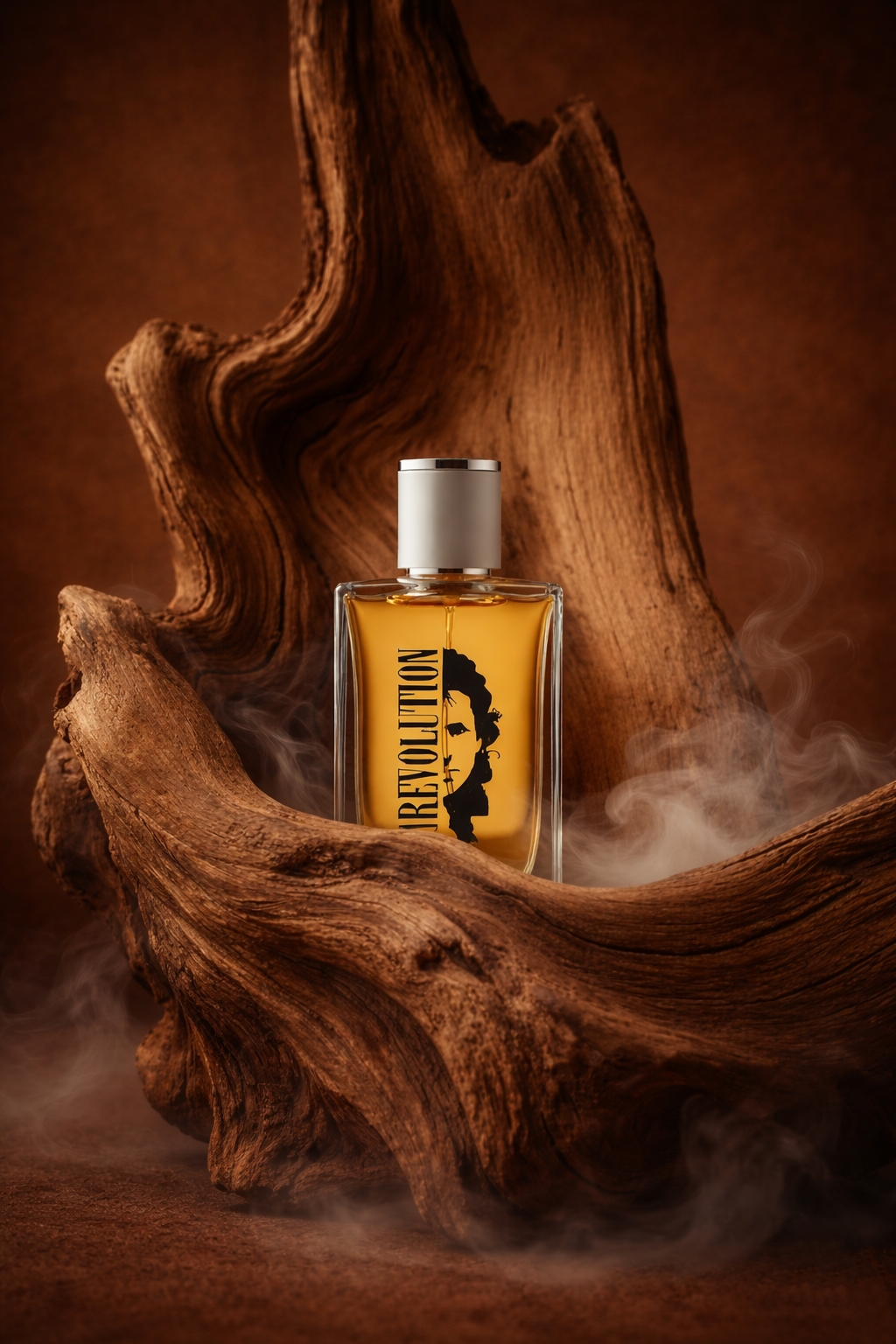 REVOLUTION By FAHMATS